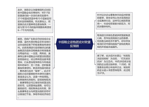 中国鞋企欲抱团应对欧盟反倾销