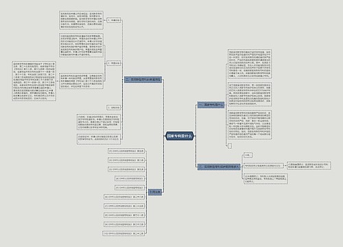 国家专利是什么