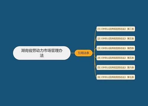 湖南省劳动力市场管理办法