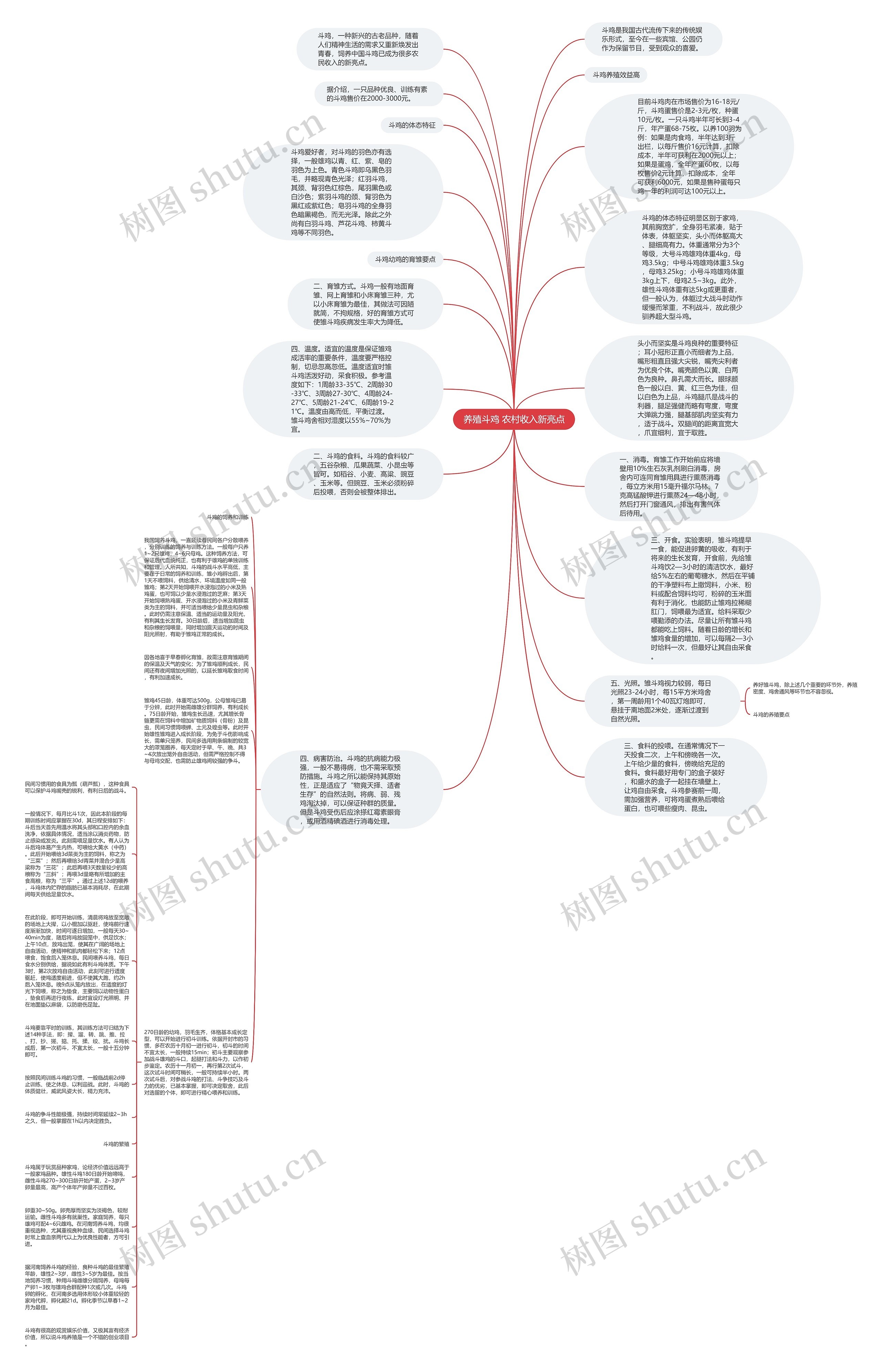 养殖斗鸡 农村收入新亮点思维导图
