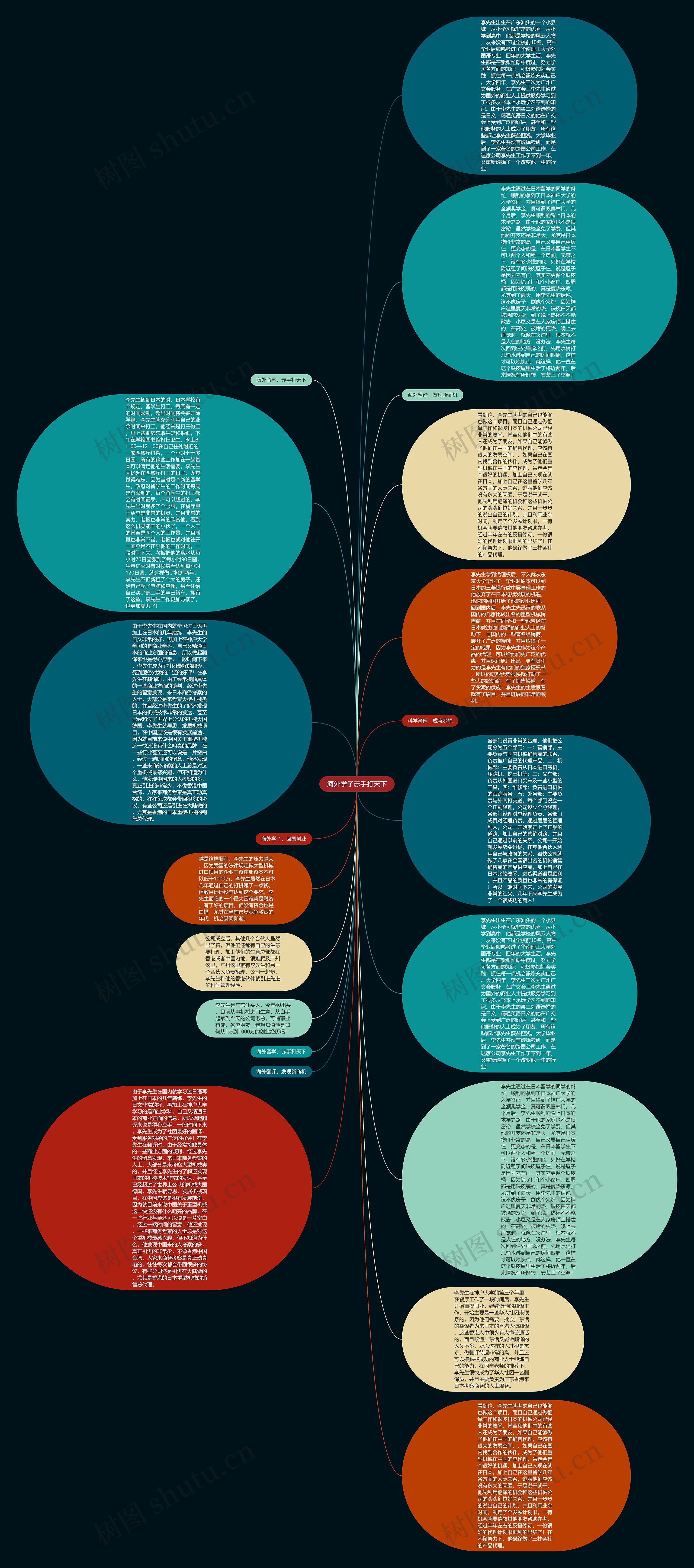 海外学子赤手打天下思维导图
