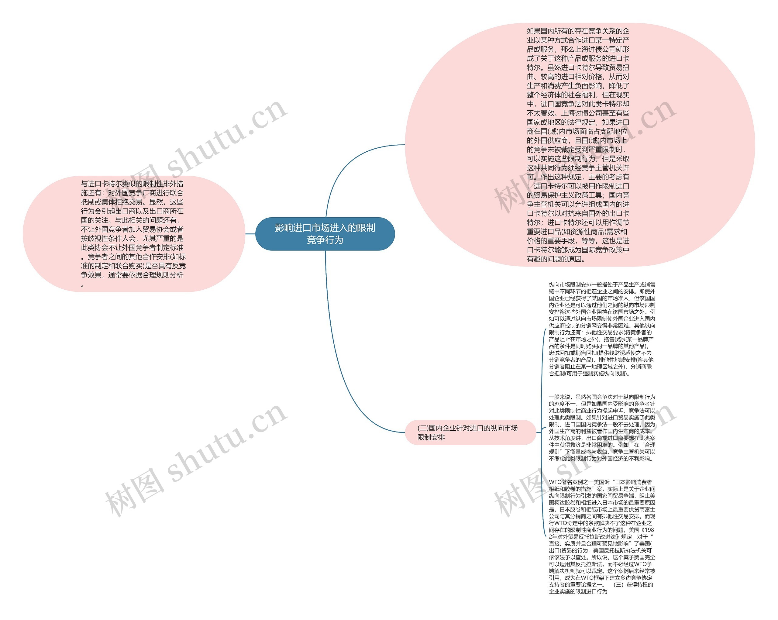 影响进口市场进入的限制竞争行为思维导图