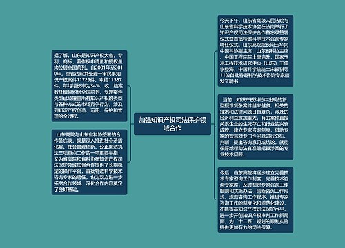 加强知识产权司法保护领域合作
