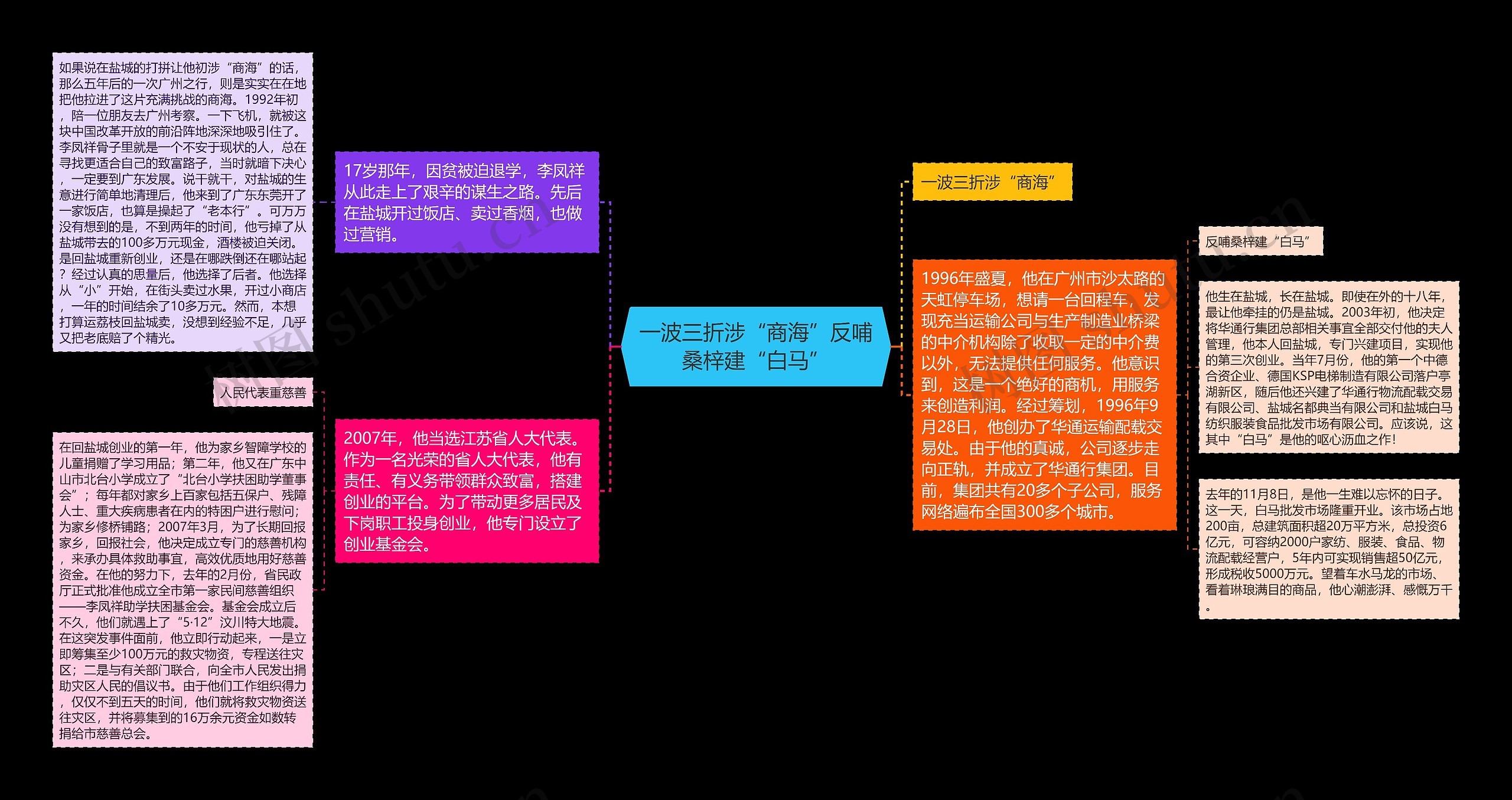 一波三折涉“商海”反哺桑梓建“白马”思维导图
