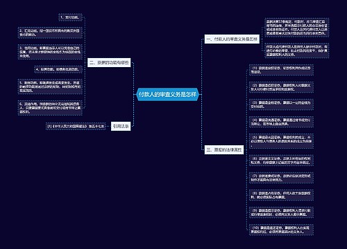 付款人的审查义务是怎样