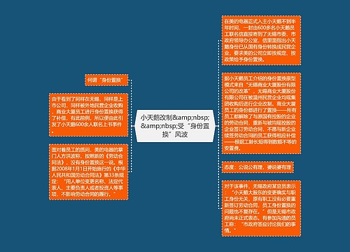 小天鹅改制&amp;nbsp;&amp;nbsp;受“身份置换”风波