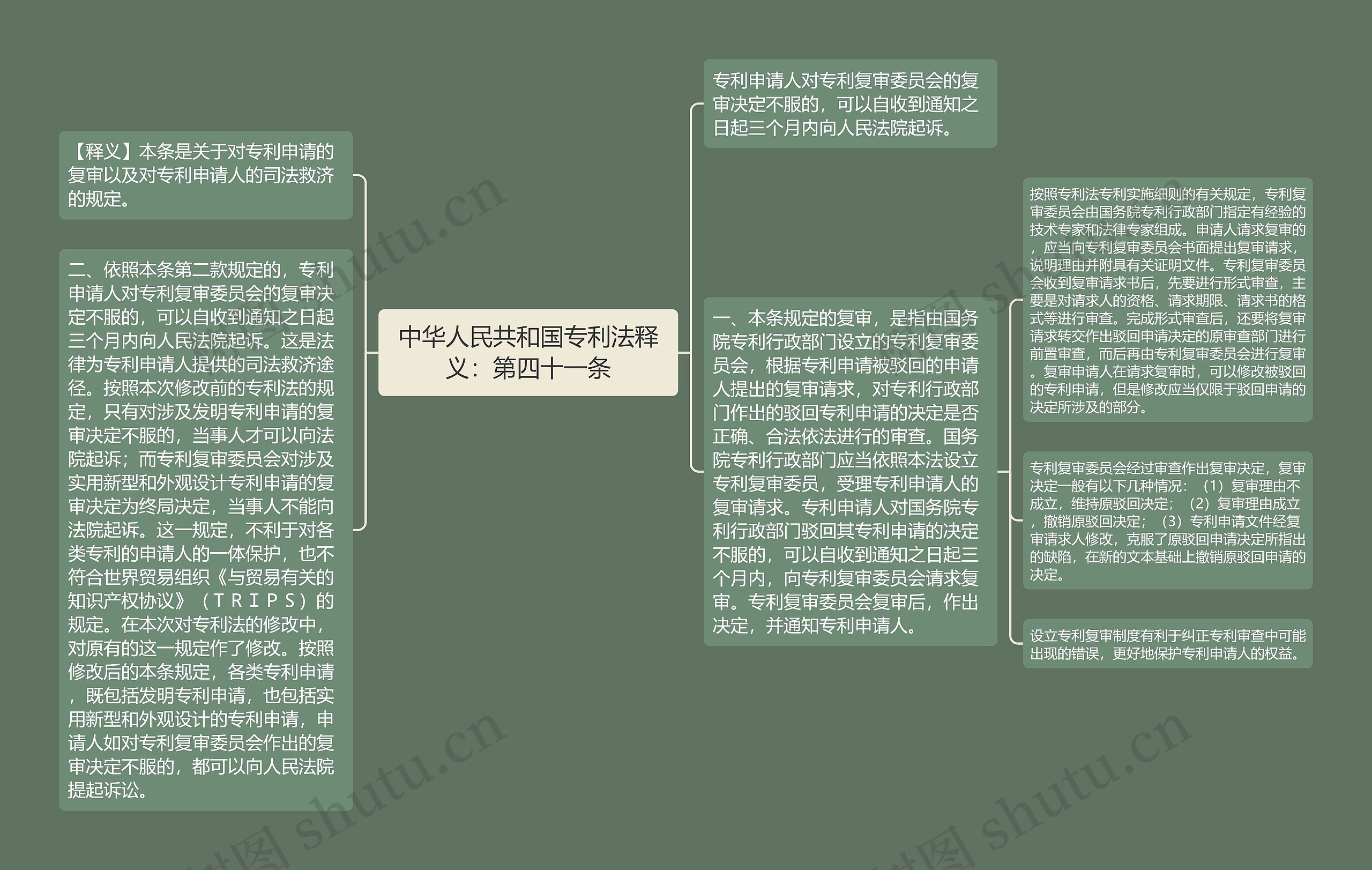 中华人民共和国专利法释义：第四十一条