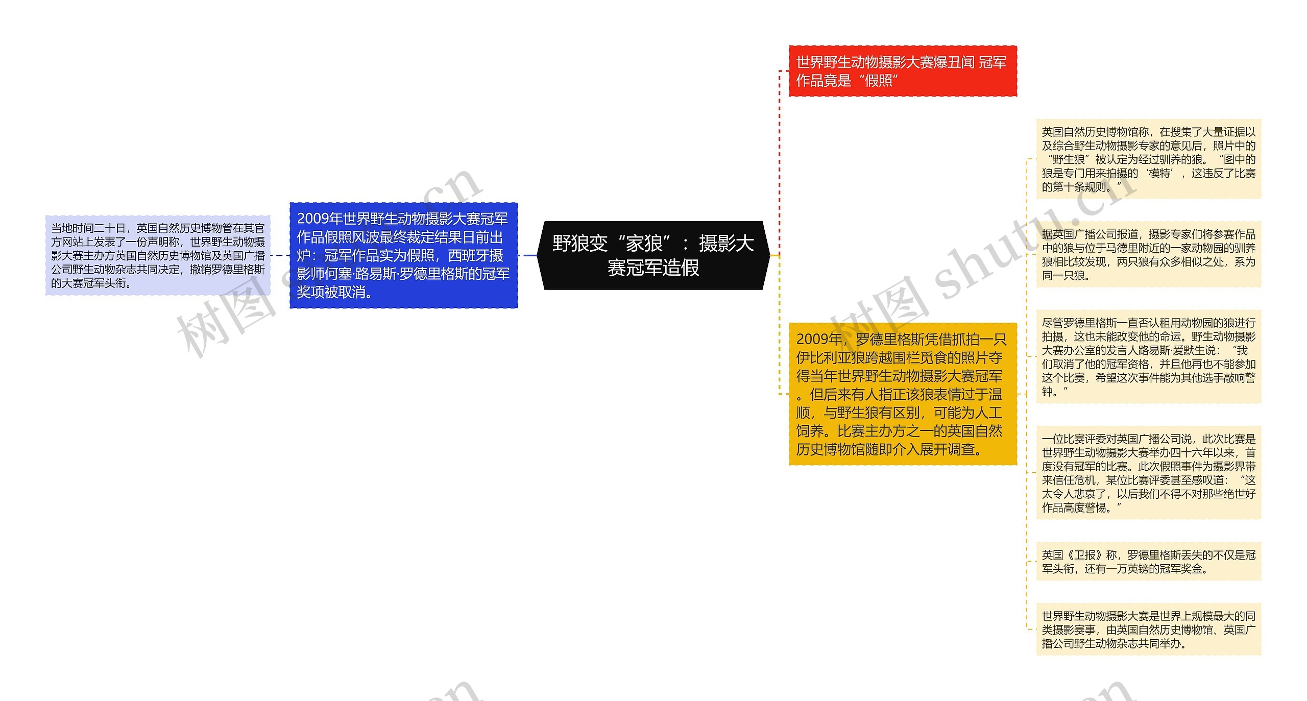 野狼变“家狼”：摄影大赛冠军造假