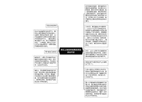 黑石上海首单收购停滞是资金不足