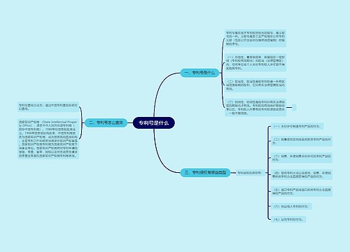 专利号是什么