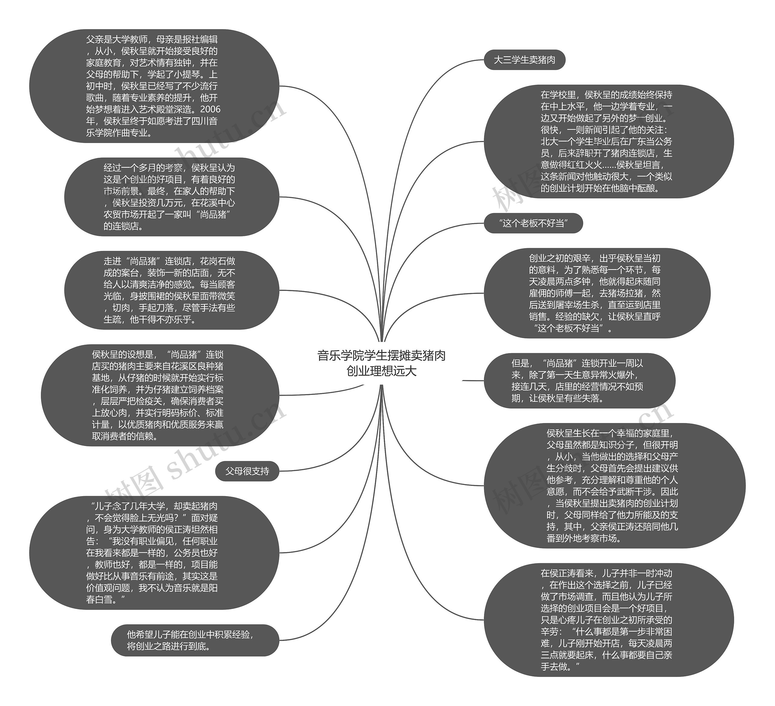 音乐学院学生摆摊卖猪肉创业理想远大思维导图