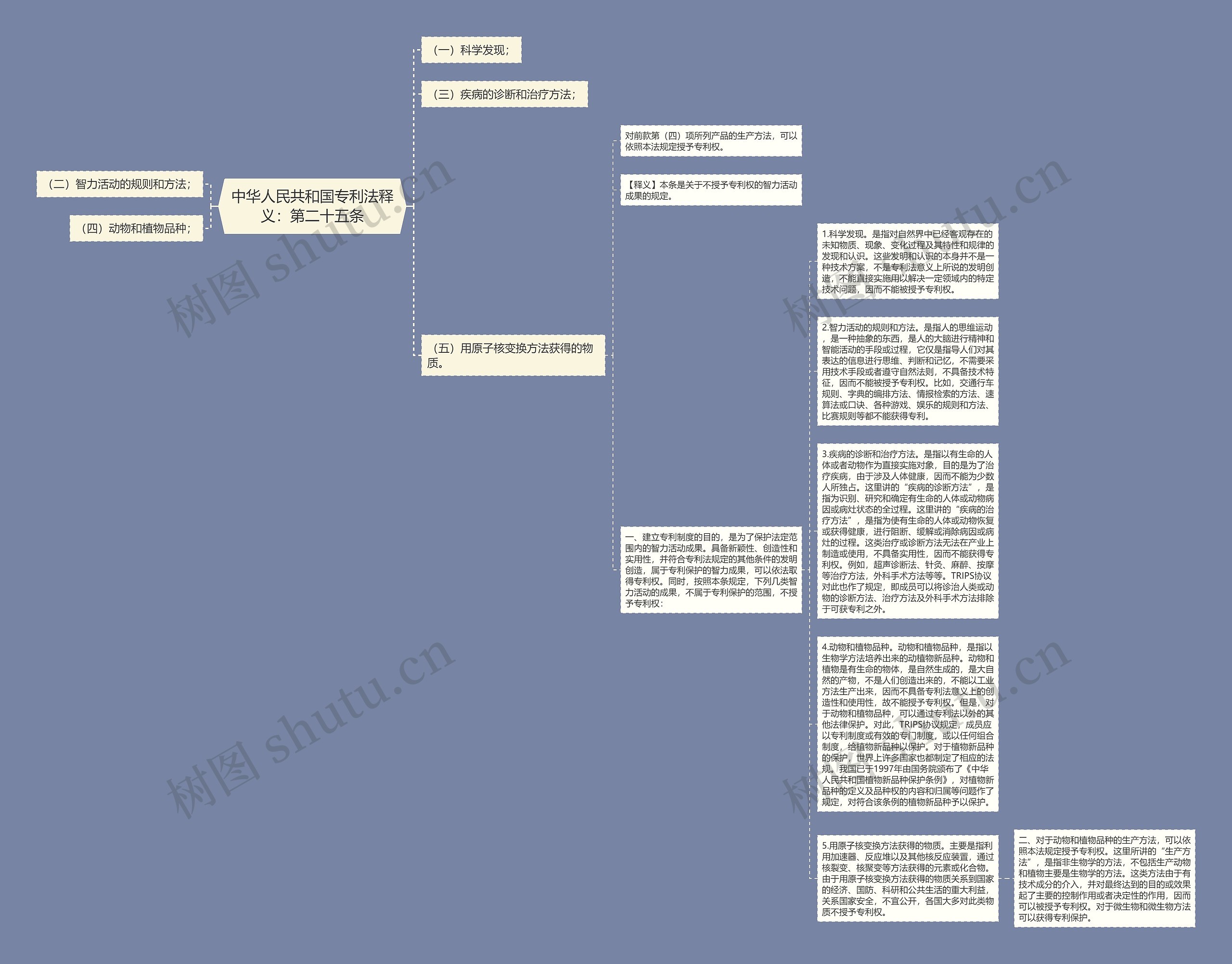 中华人民共和国专利法释义：第二十五条思维导图