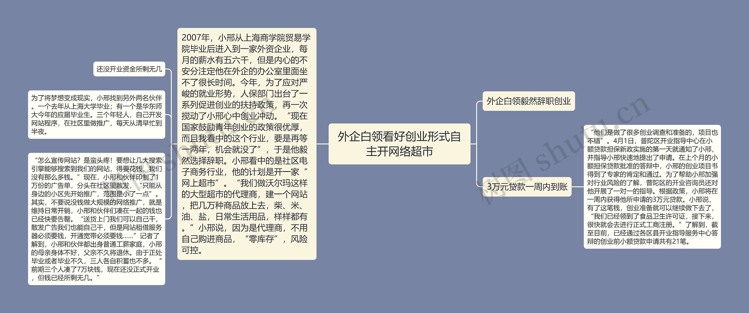 外企白领看好创业形式自主开网络超市思维导图