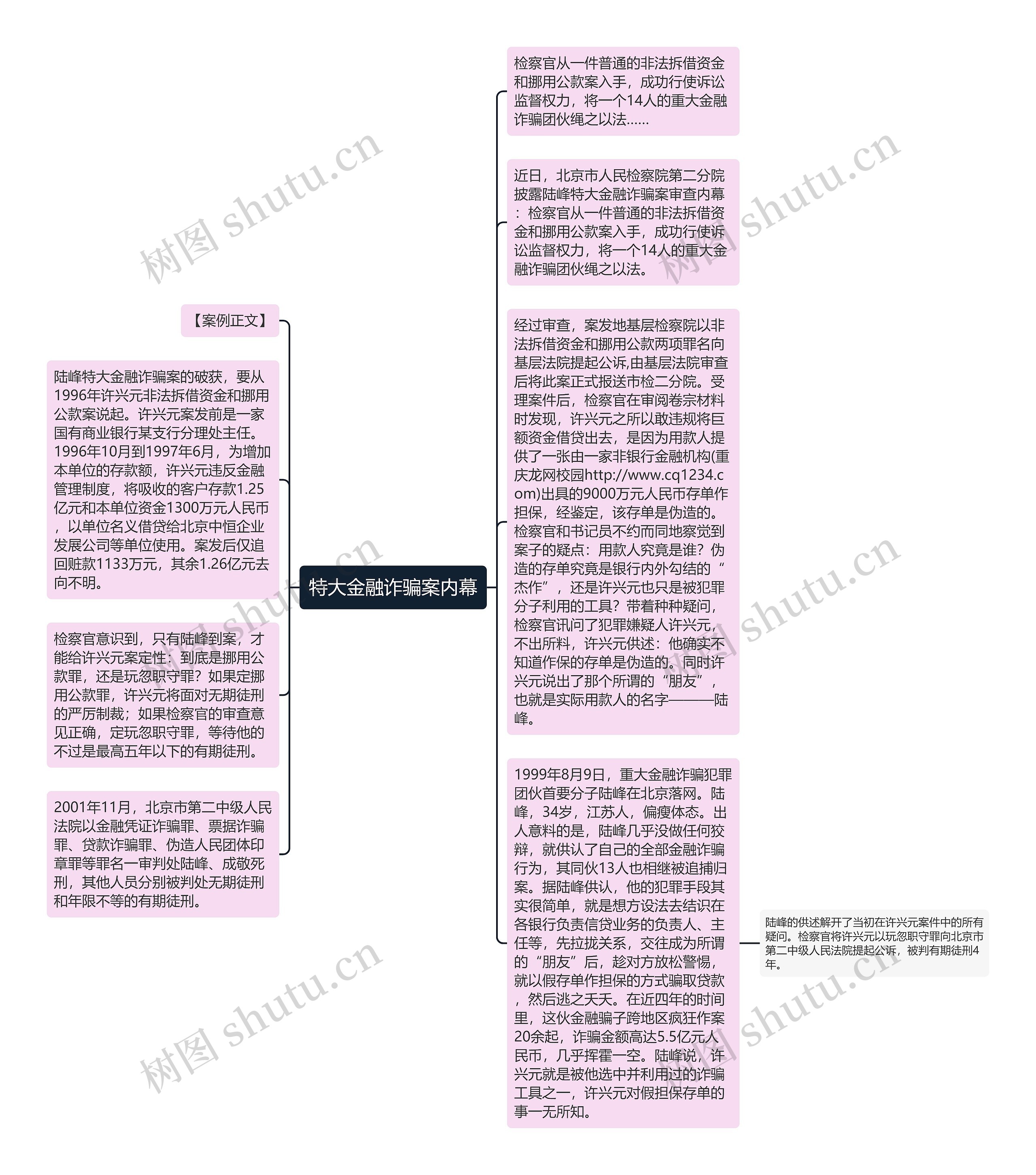 特大金融诈骗案内幕思维导图