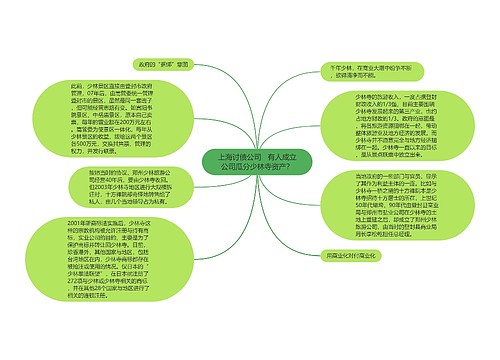 上海讨债公司   有人成立公司瓜分少林寺资产？