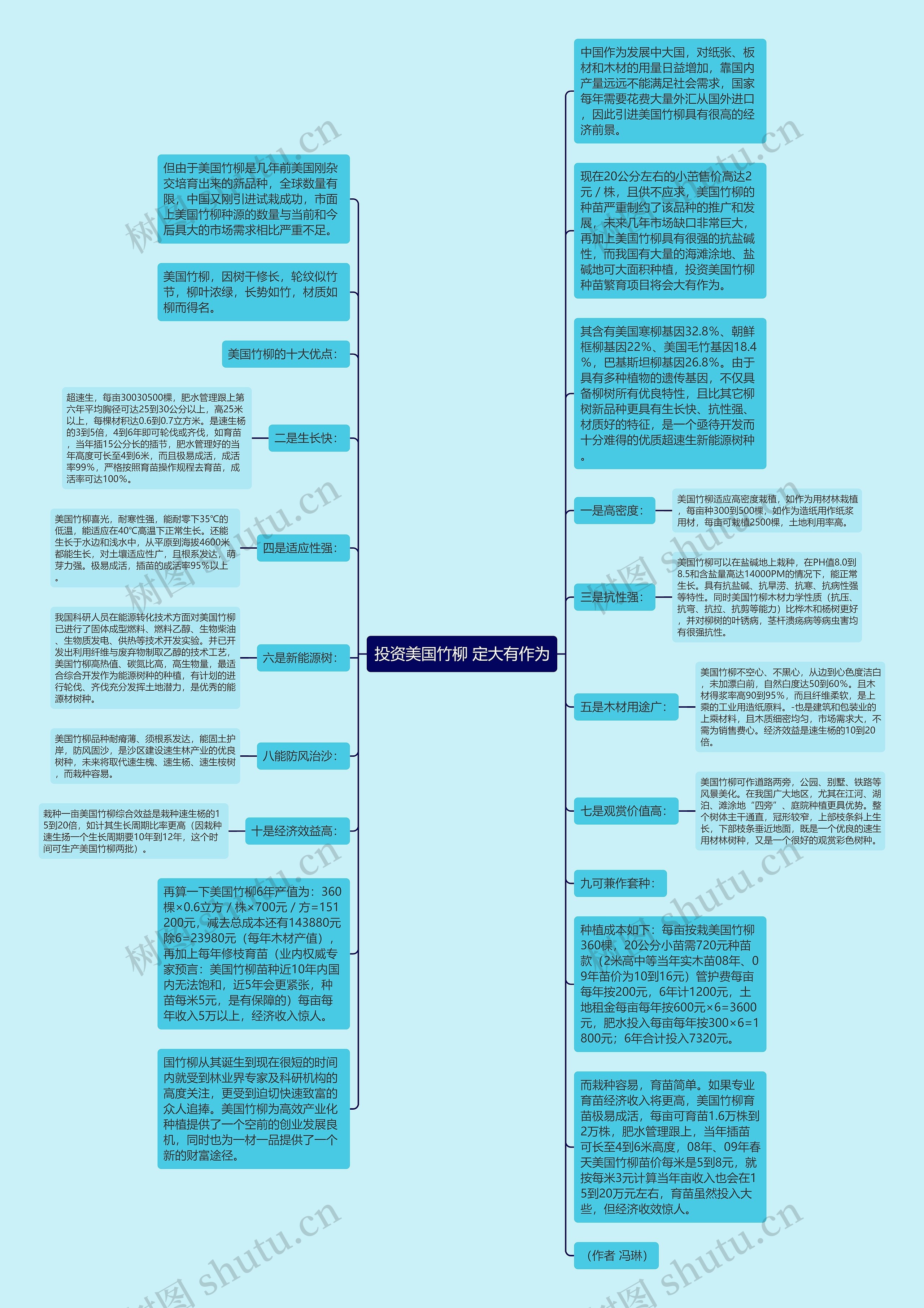 投资美国竹柳 定大有作为思维导图