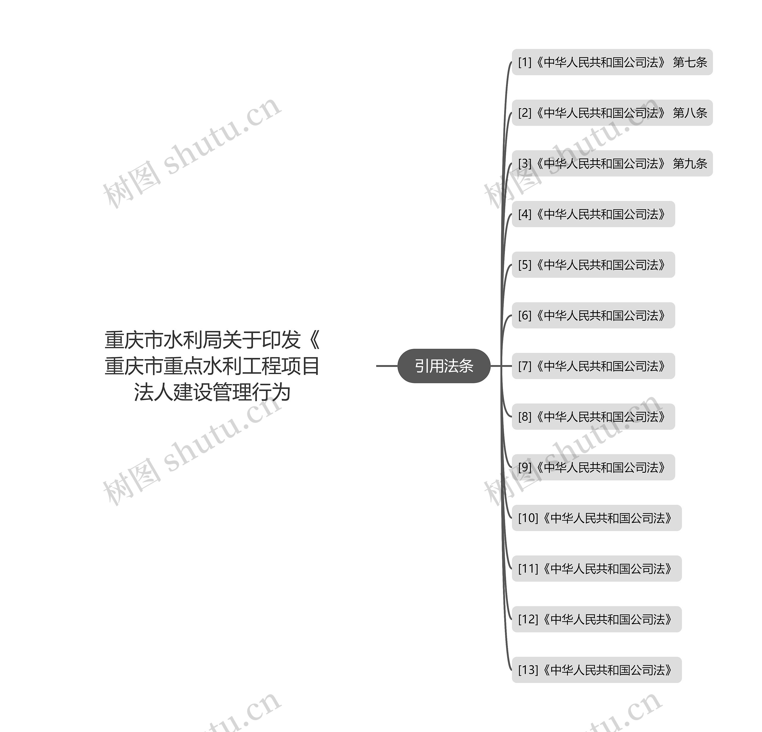 重庆市水利局关于印发《重庆市重点水利工程项目法人建设管理行为