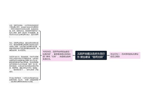 沈阳开始整治政府失信行为 提出建设“信用沈阳”