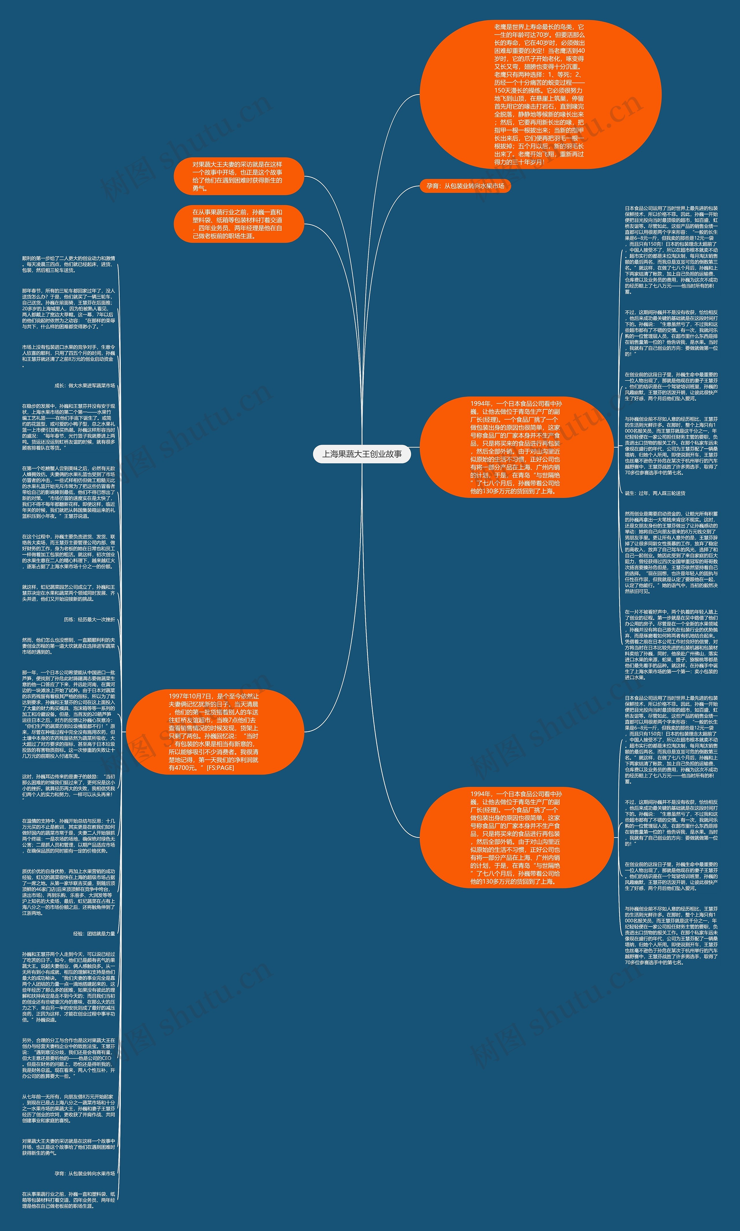 上海果蔬大王创业故事思维导图