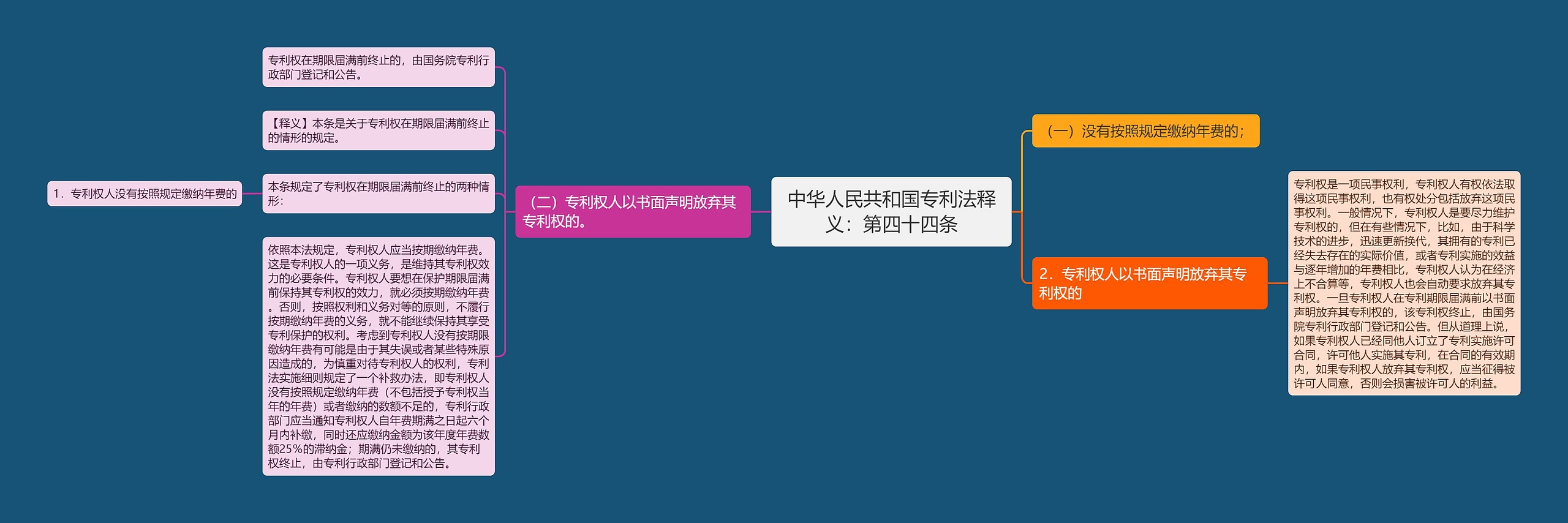 中华人民共和国专利法释义：第四十四条思维导图