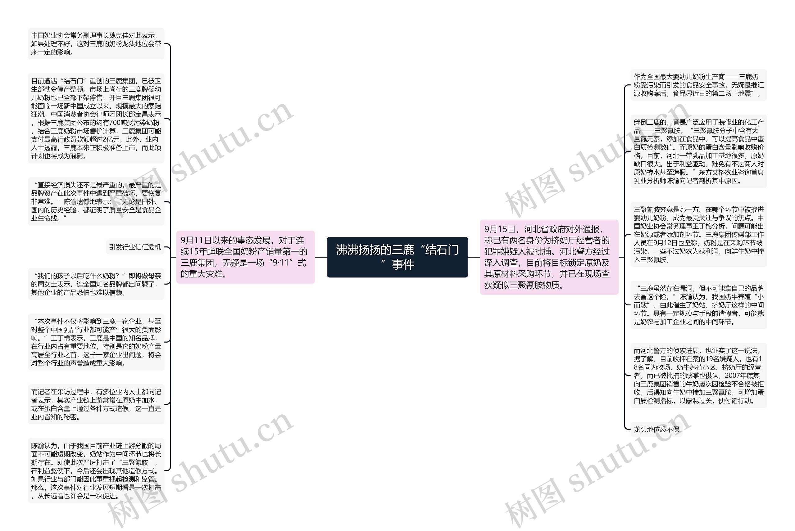 沸沸扬扬的三鹿“结石门”事件思维导图