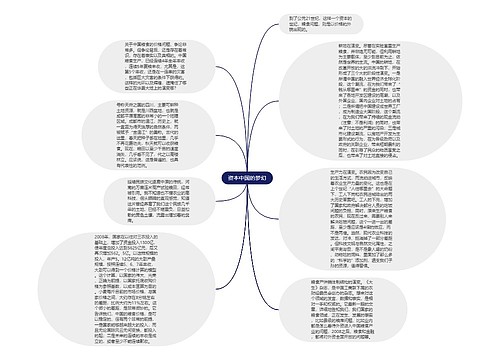 资本中国的梦幻