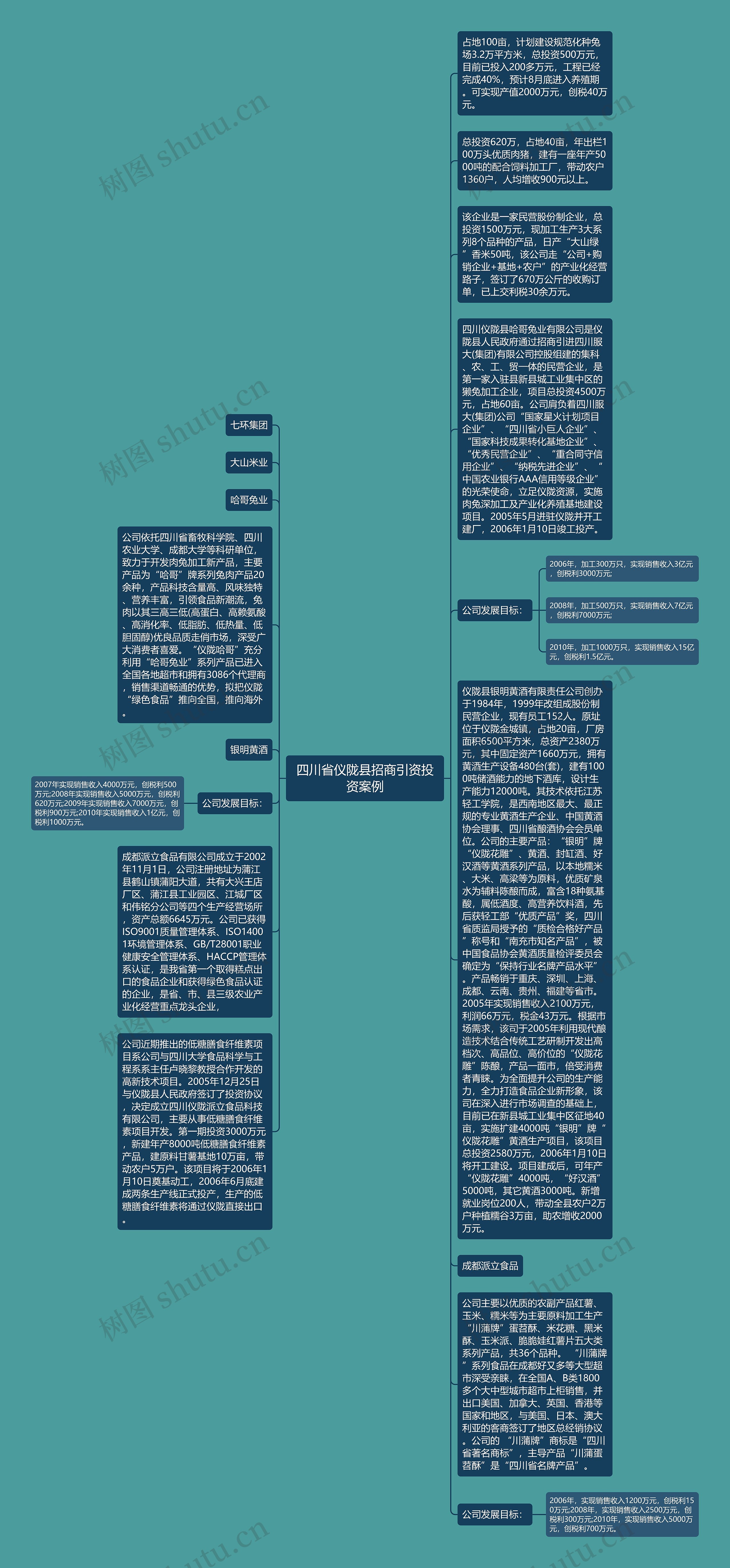 四川省仪陇县招商引资投资案例