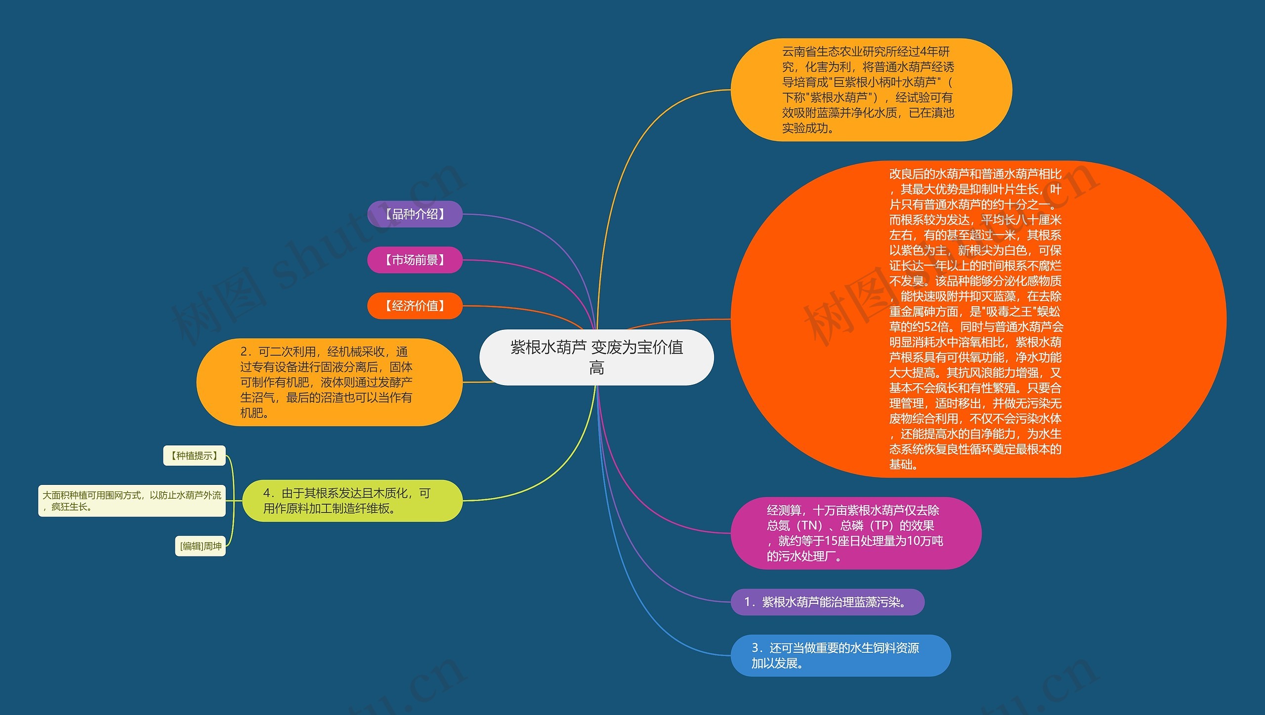 紫根水葫芦 变废为宝价值高思维导图