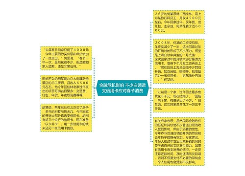 金融危机影响 不少白领透支信用卡应对春节消费