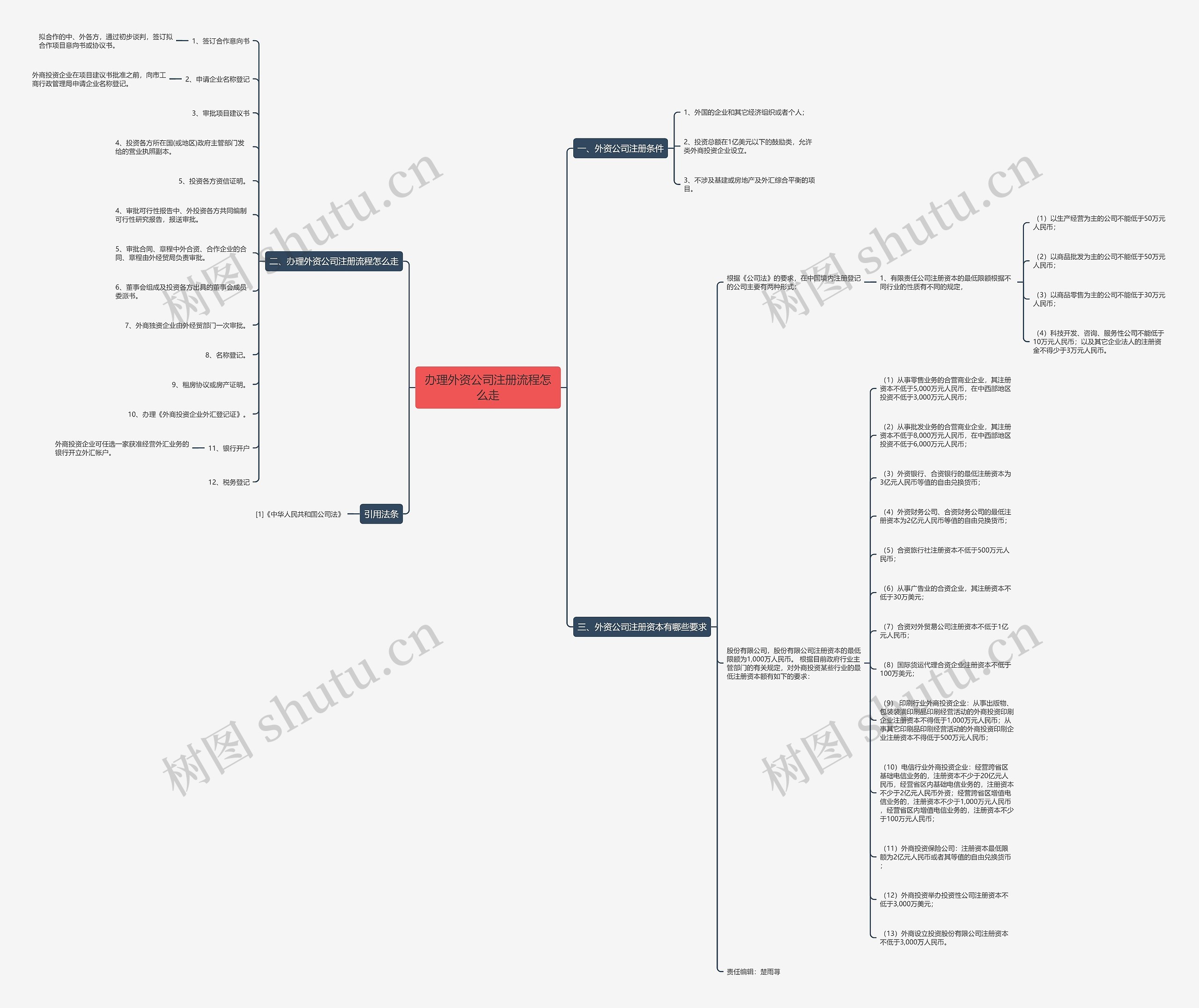 办理外资公司注册流程怎么走思维导图