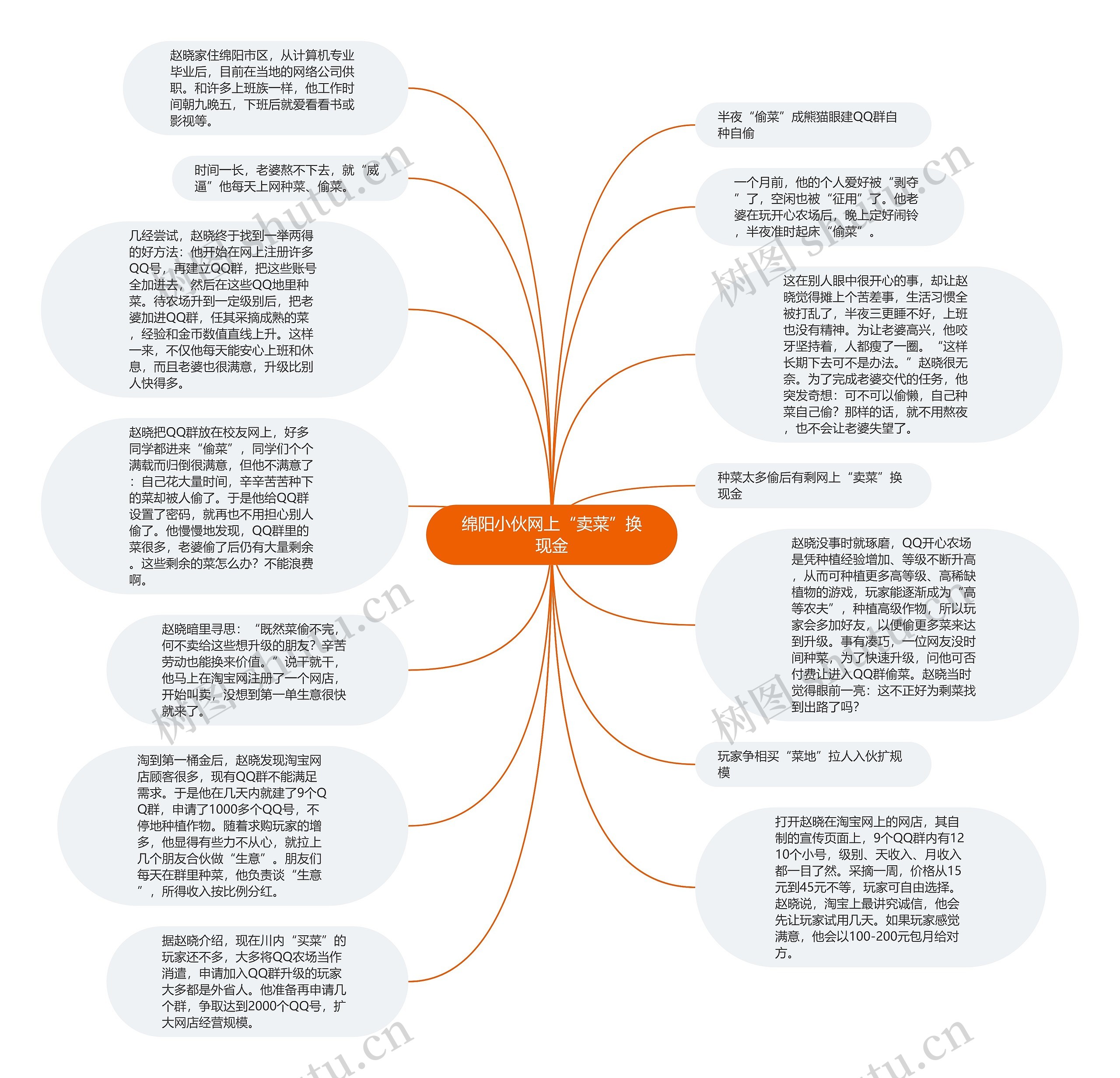 绵阳小伙网上“卖菜”换现金思维导图