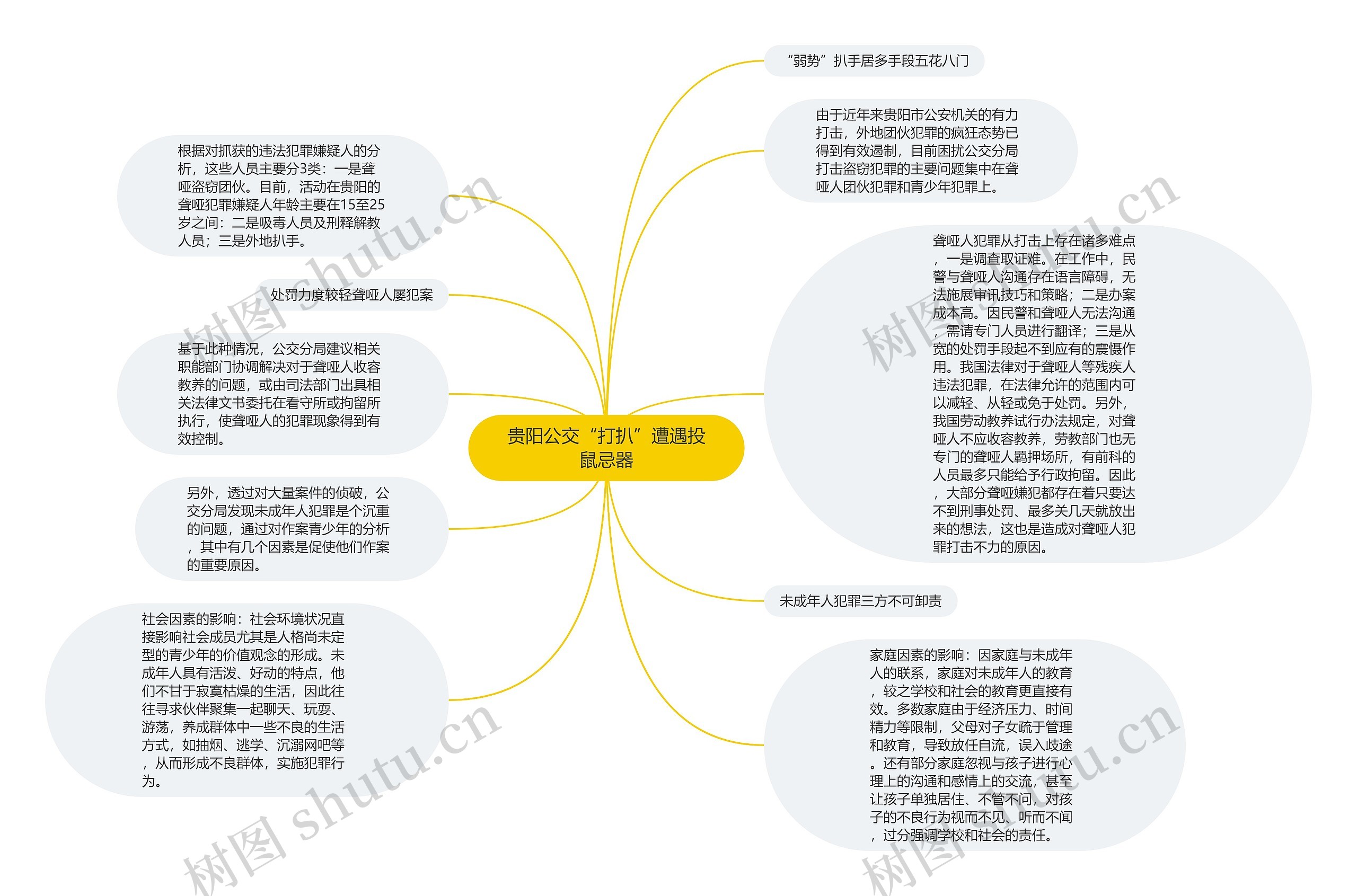 贵阳公交“打扒”遭遇投鼠忌器思维导图