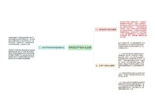 专利知识产权什么意思