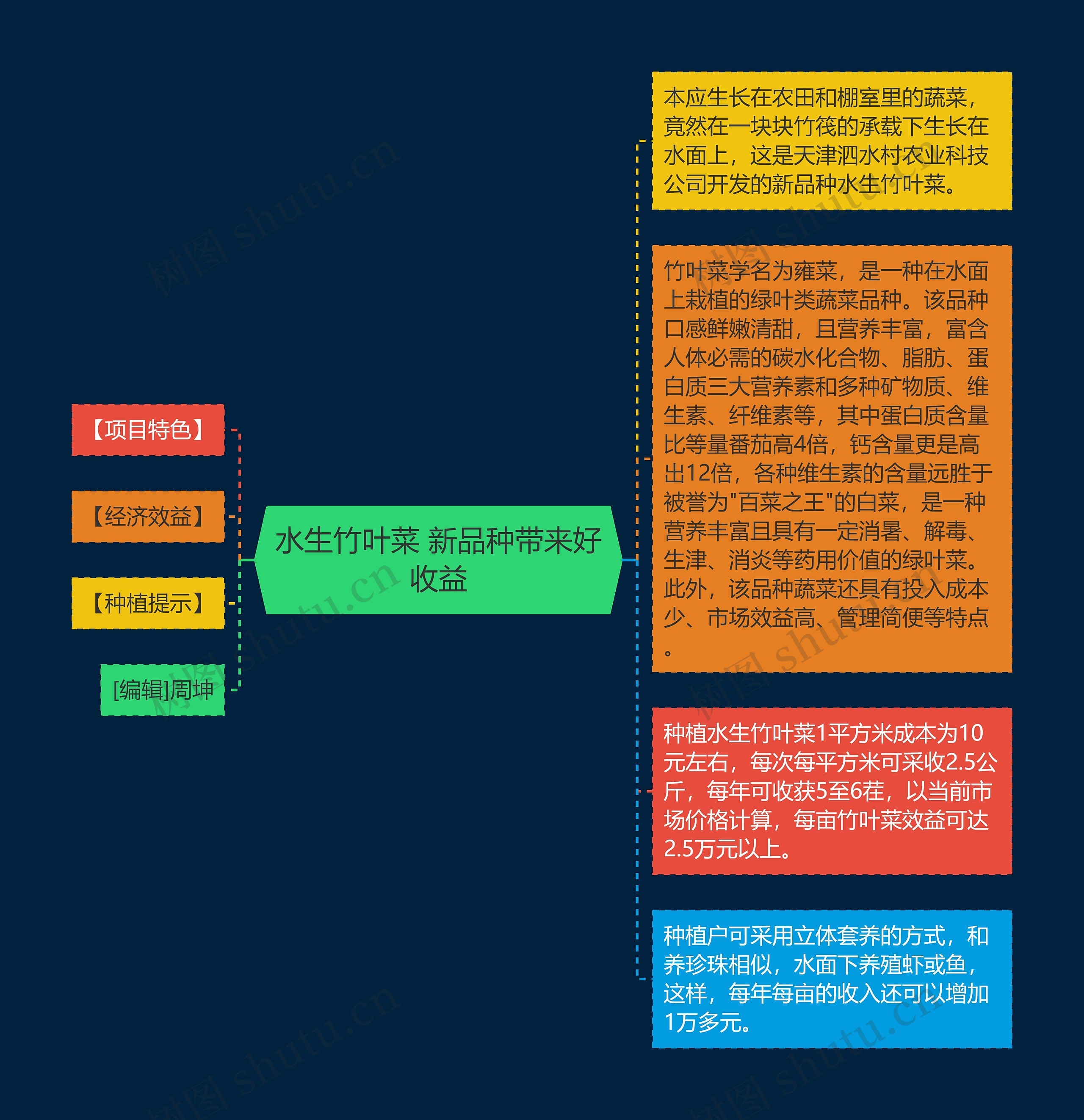 水生竹叶菜 新品种带来好收益