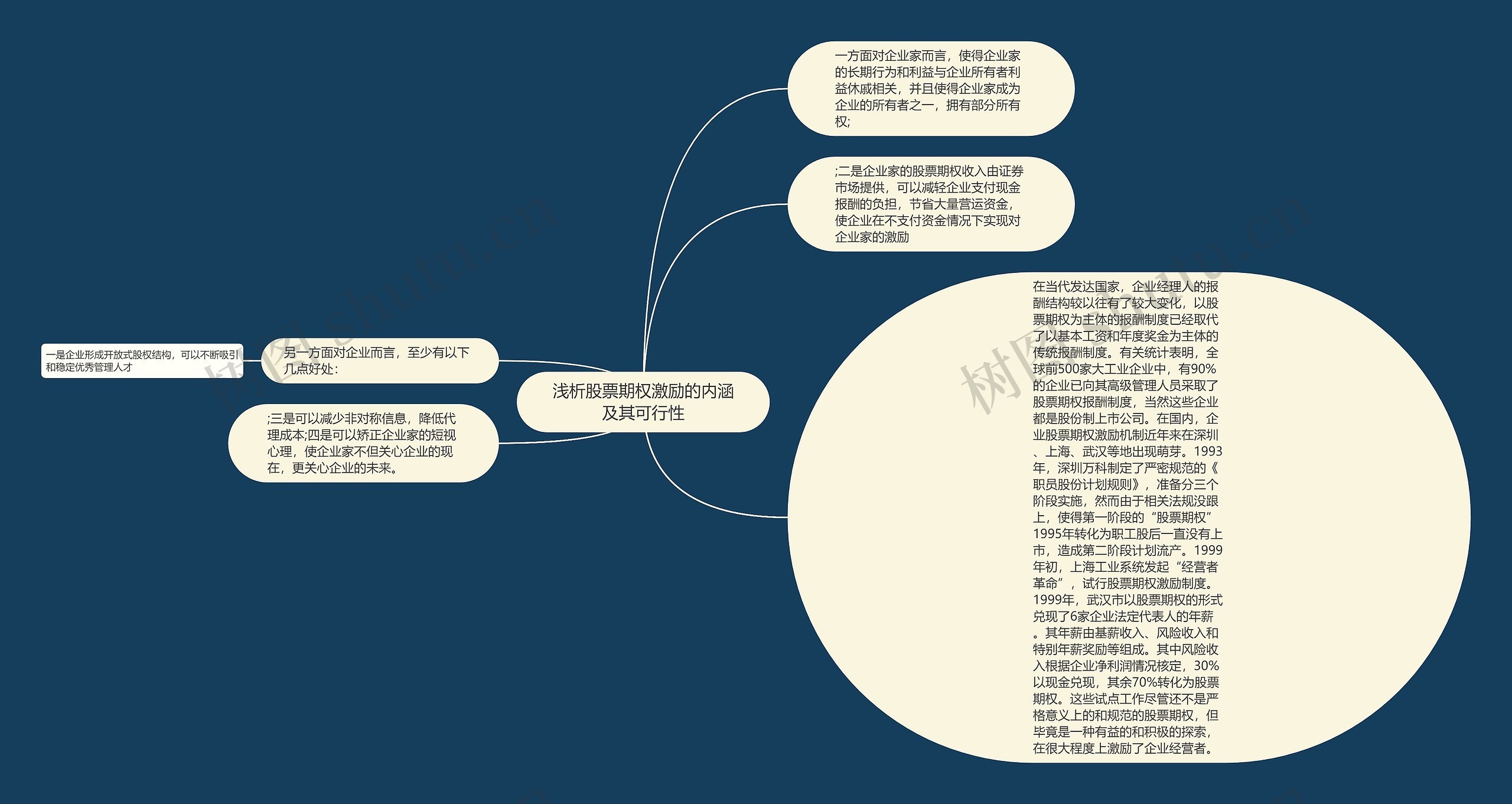 浅析股票期权激励的内涵及其可行性思维导图