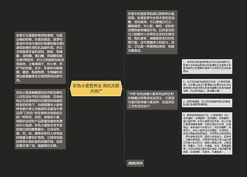 彩色小麦营养全 商机无限天地广