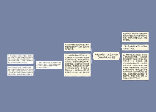 专利法解读：第五十六条【专利权保护范围】