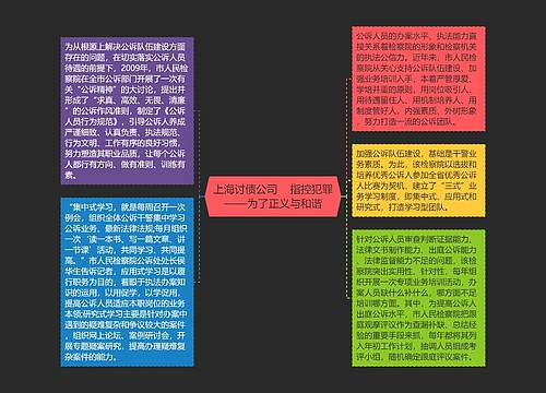 上海讨债公司    指控犯罪——为了正义与和谐