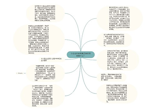 小企业的老板真正缺的到底是什么？