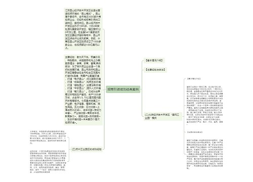 招商引资成功经典案例