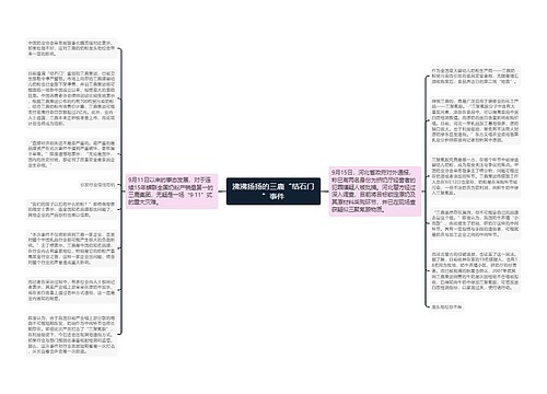 沸沸扬扬的三鹿“结石门”事件