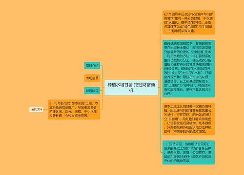 种植水培甘薯 挖掘财富商机