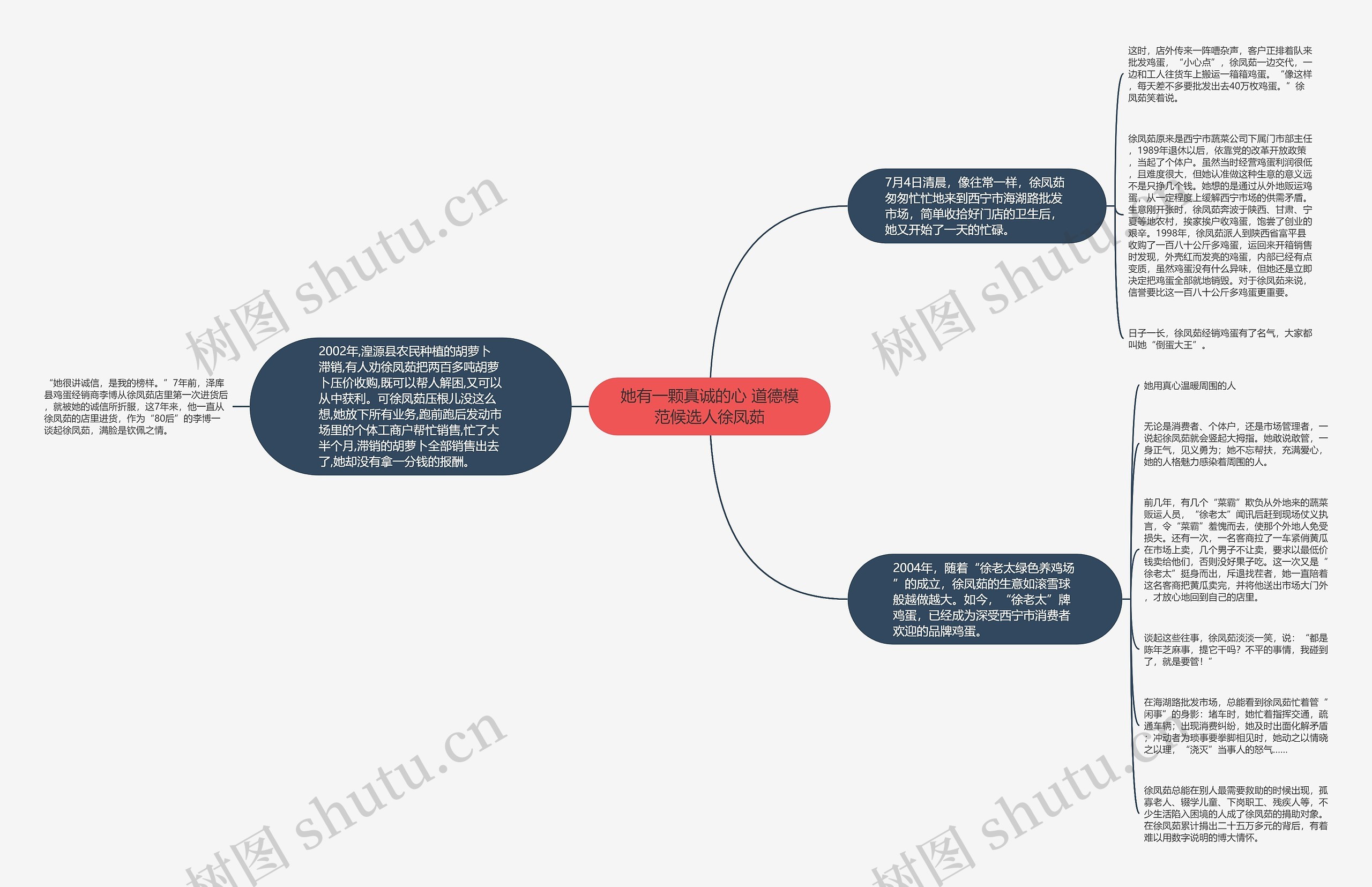 她有一颗真诚的心 道德模范候选人徐凤茹思维导图