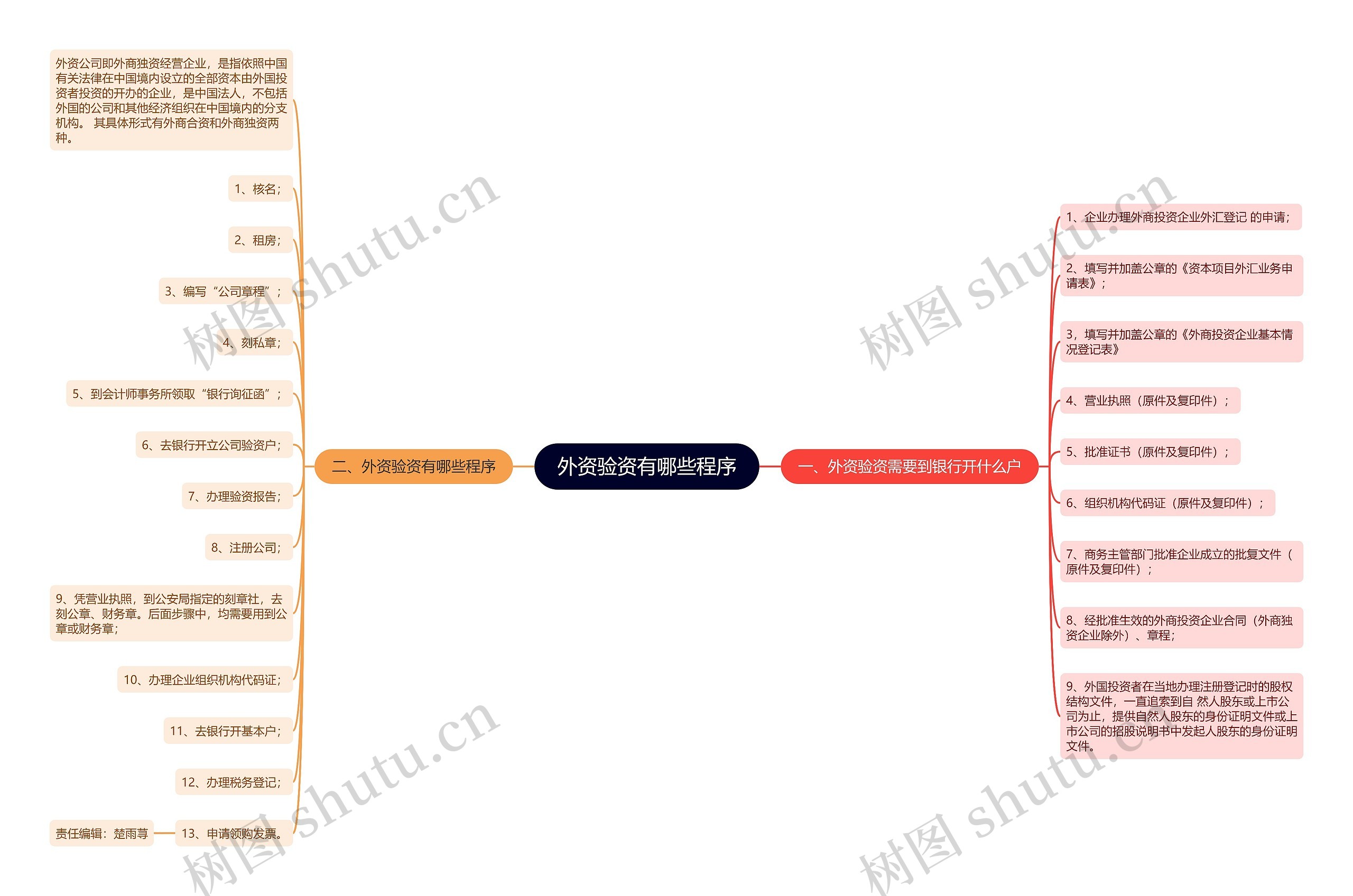 外资验资有哪些程序思维导图