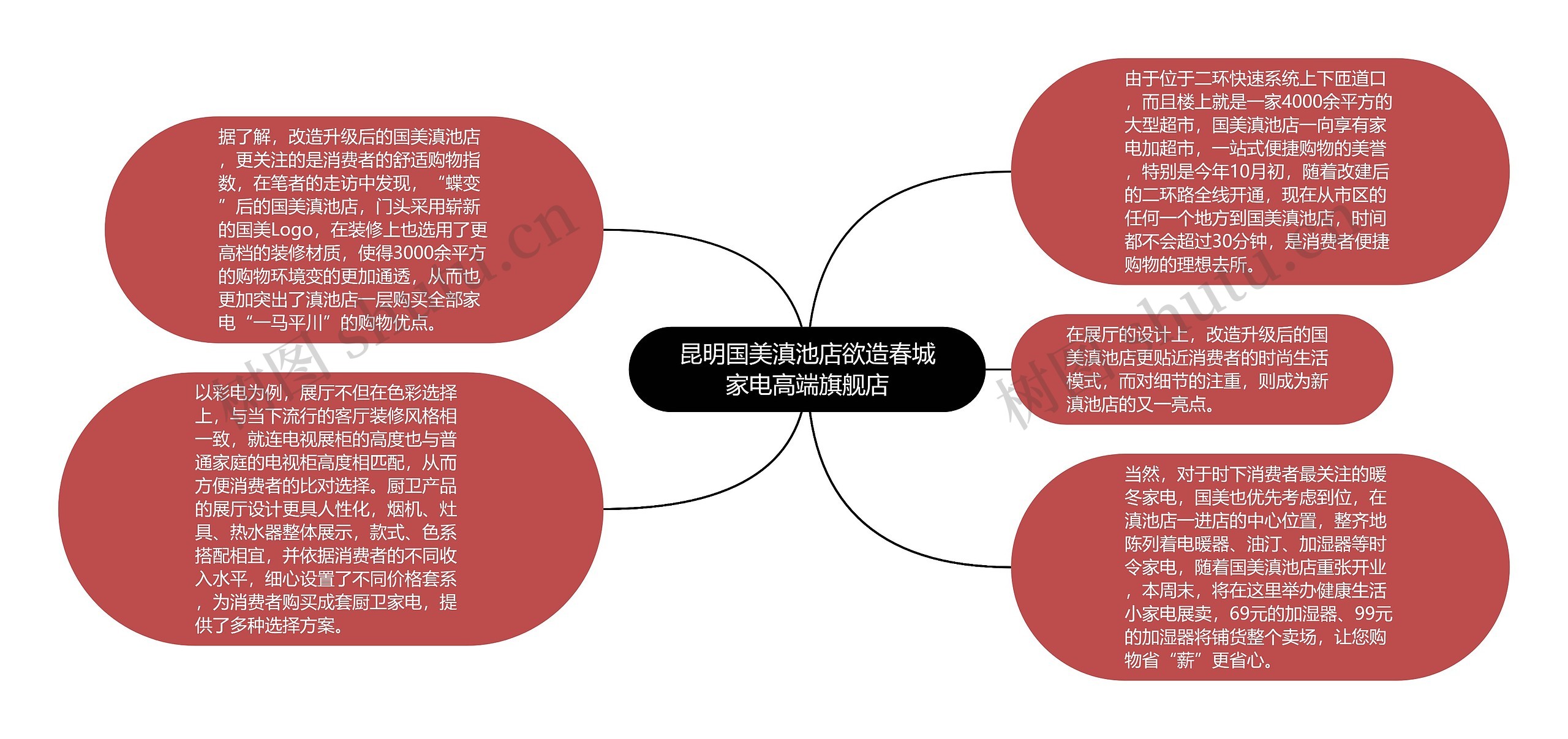 昆明国美滇池店欲造春城家电高端旗舰店思维导图