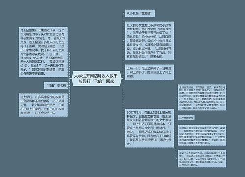 大学生开网店月收入数千 放假打“飞的”回家