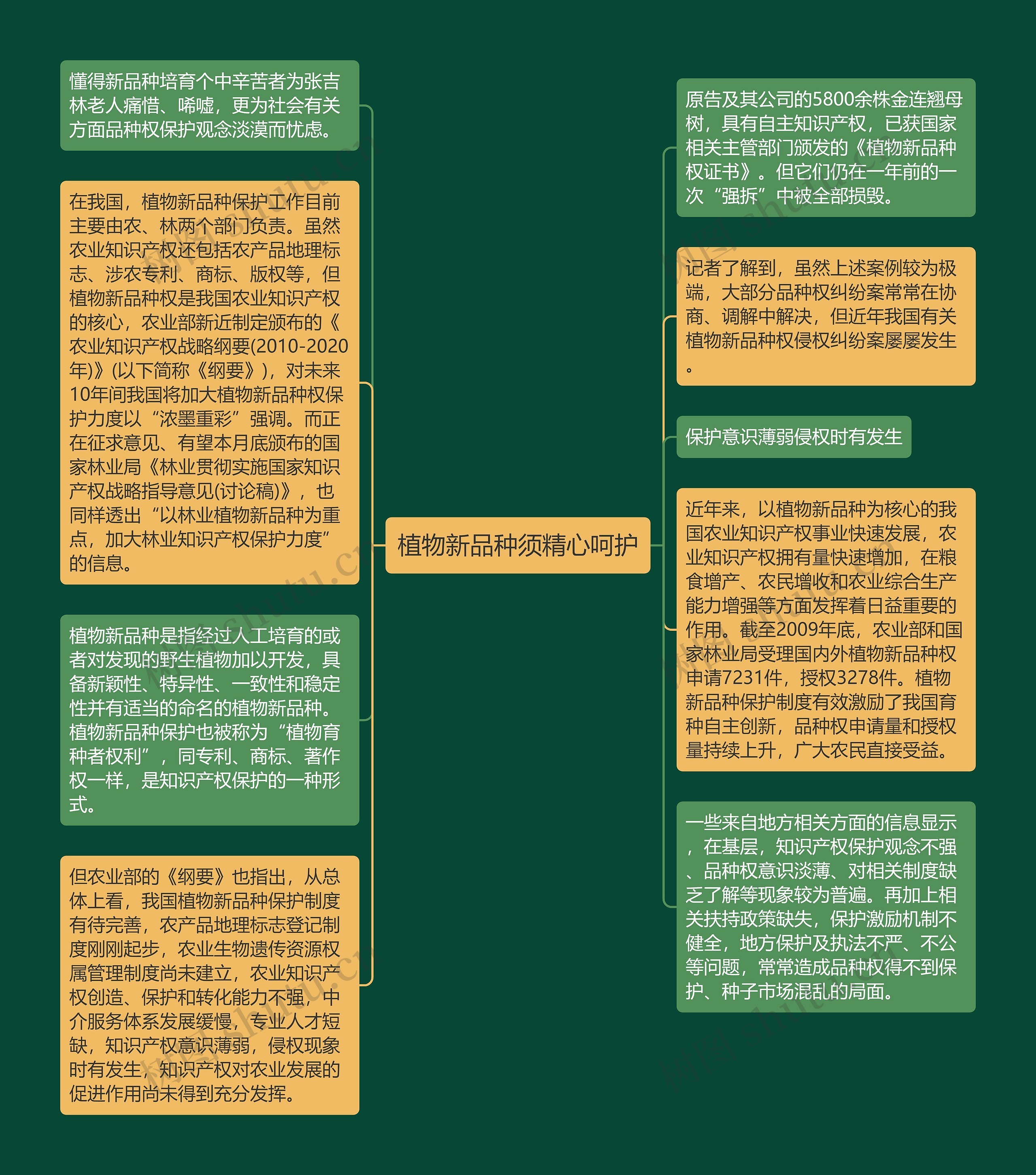 植物新品种须精心呵护思维导图