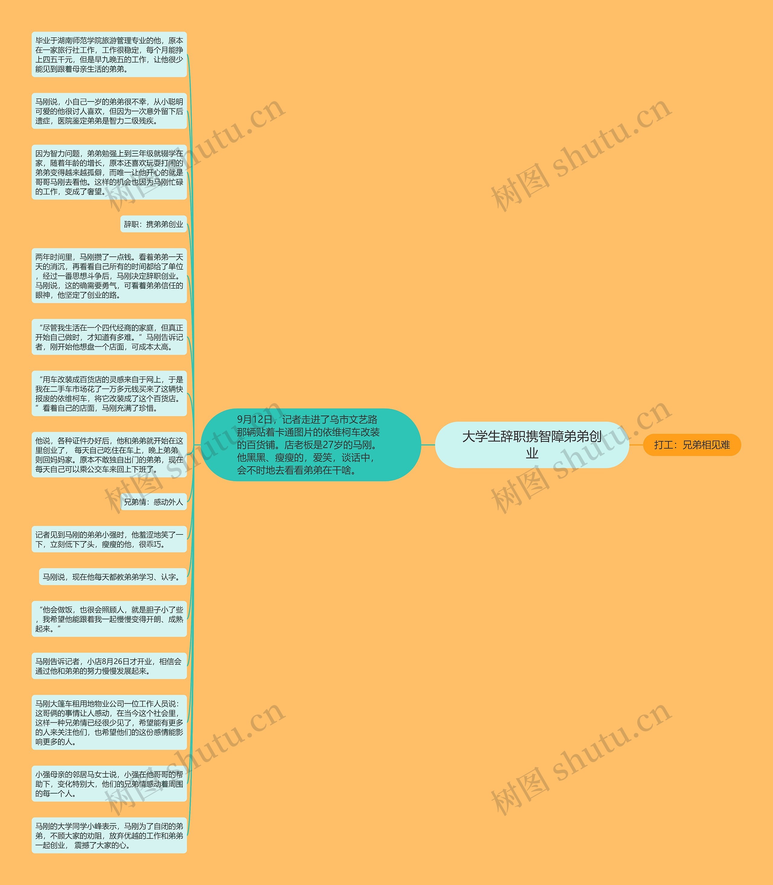 大学生辞职携智障弟弟创业思维导图