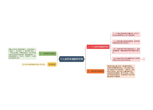 个人如何申请医药专利