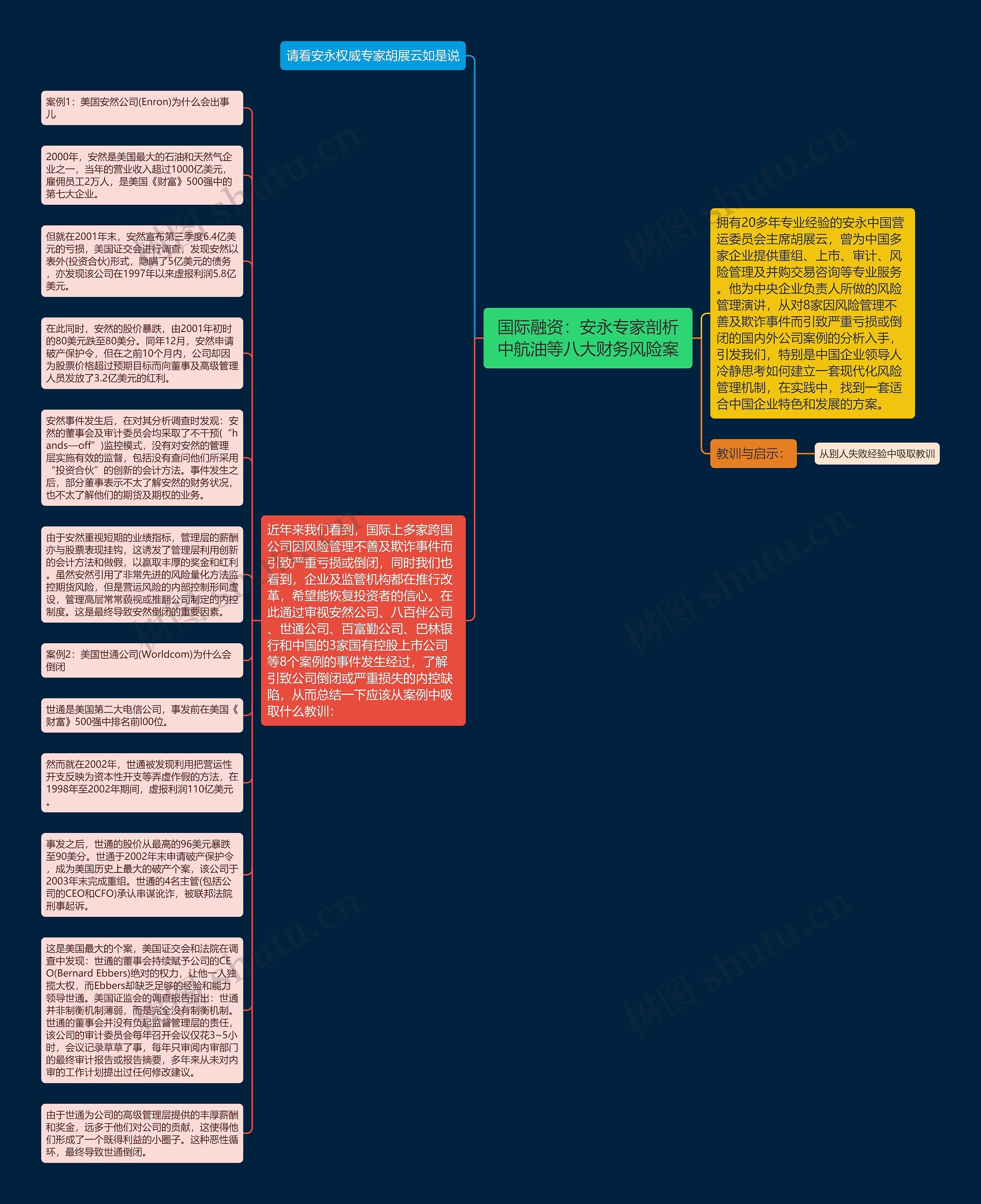 国际融资：安永专家剖析中航油等八大财务风险案思维导图